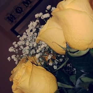 Meet your Posher, Alyse